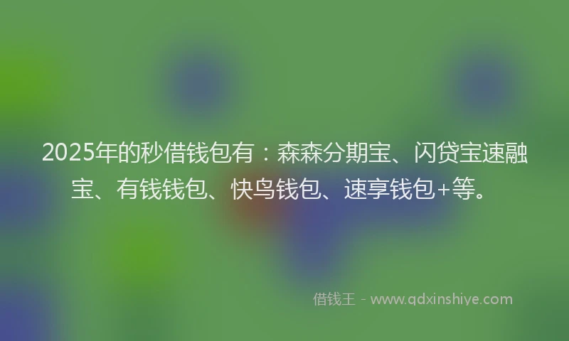 2025年的秒借钱包有：森森分期宝、闪贷宝速融宝、有钱钱包、快鸟钱包、速享钱包+等。