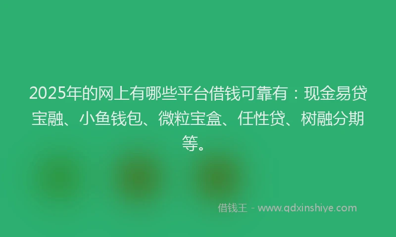 2025年的网上有哪些平台借钱可靠有：现金易贷宝融、小鱼钱包、微粒宝盒、任性贷、树融分期等。