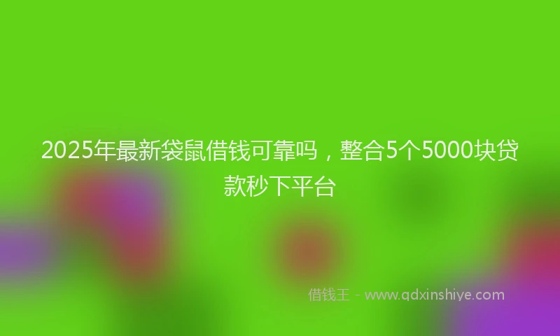 2025年最新袋鼠借钱可靠吗，整合5个5000块贷款秒下平台
