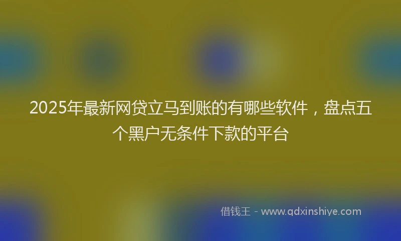 2025年最新网贷立马到账的有哪些软件，盘点五个黑户无条件下款的平台