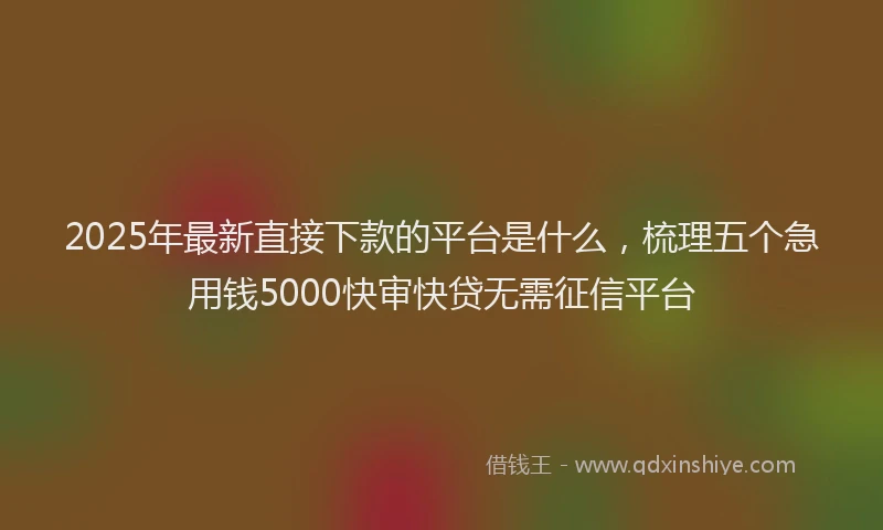 2025年最新直接下款的平台是什么，梳理五个急用钱5000快审快贷无需征信平台