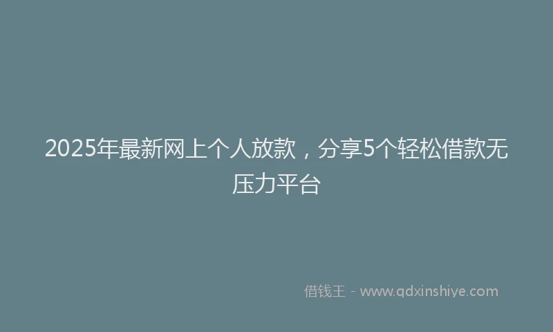 2025年最新网上个人放款，分享5个轻松借款无压力平台