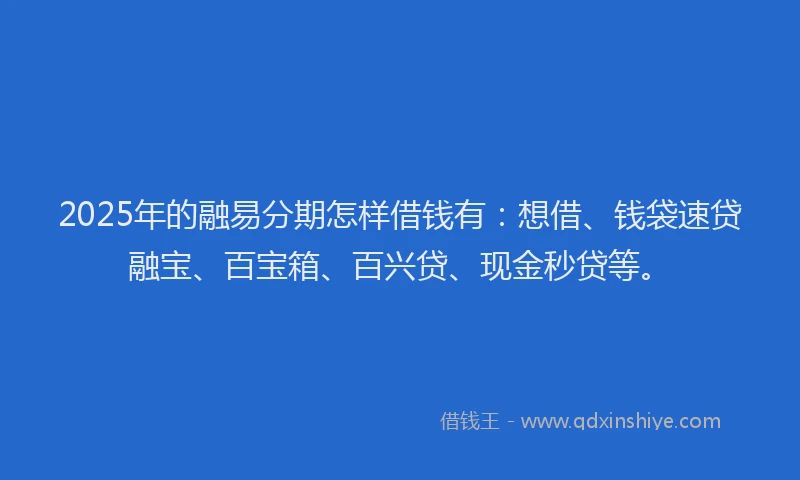 2025年的融易分期怎样借钱有：想借、钱袋速贷融宝、百宝箱、百兴贷、现金秒贷等。