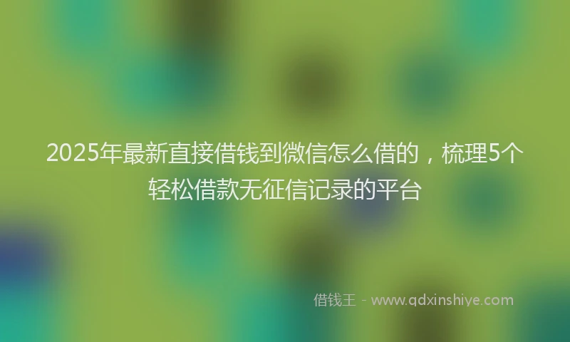 2025年最新直接借钱到微信怎么借的，梳理5个轻松借款无征信记录的平台