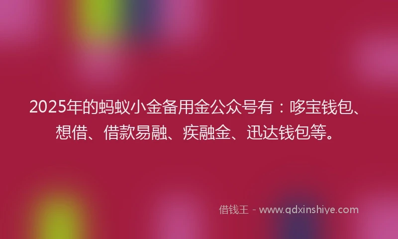 2025年的蚂蚁小金备用金公众号有：哆宝钱包、想借、借款易融、疾融金、迅达钱包等。