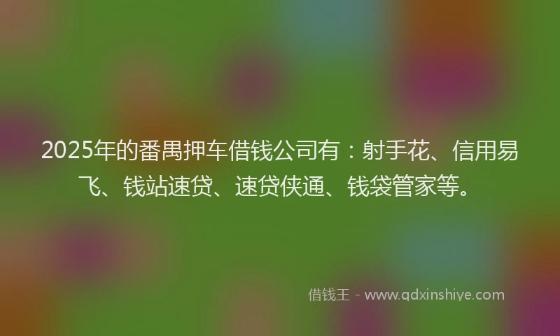 2025年的番禺押车借钱公司有：射手花、信用易飞、钱站速贷、速贷侠通、钱袋管家等。