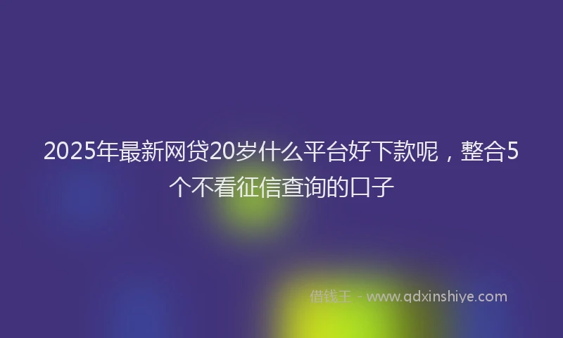 2025年最新网贷20岁什么平台好下款呢，整合5个不看征信查询的口子