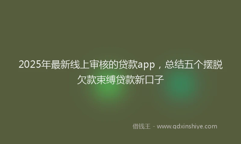 2025年最新线上审核的贷款app，总结五个摆脱欠款束缚贷款新口子