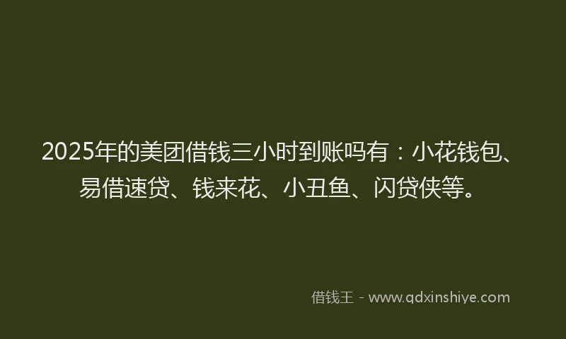 2025年的美团借钱三小时到账吗有：小花钱包、易借速贷、钱来花、小丑鱼、闪贷侠等。