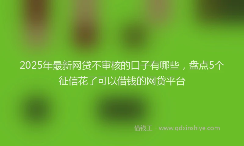 2025年最新网贷不审核的口子有哪些，盘点5个征信花了可以借钱的网贷平台
