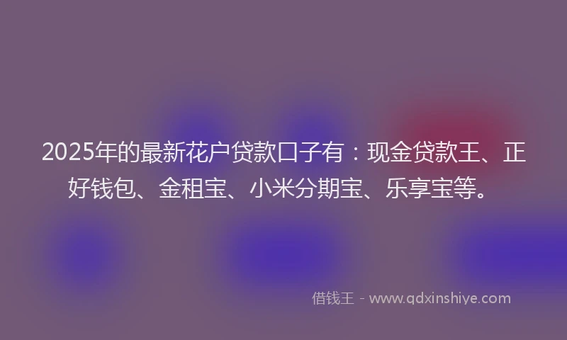2025年的最新花户贷款口子有：现金贷款王、正好钱包、金租宝、小米分期宝、乐享宝等。