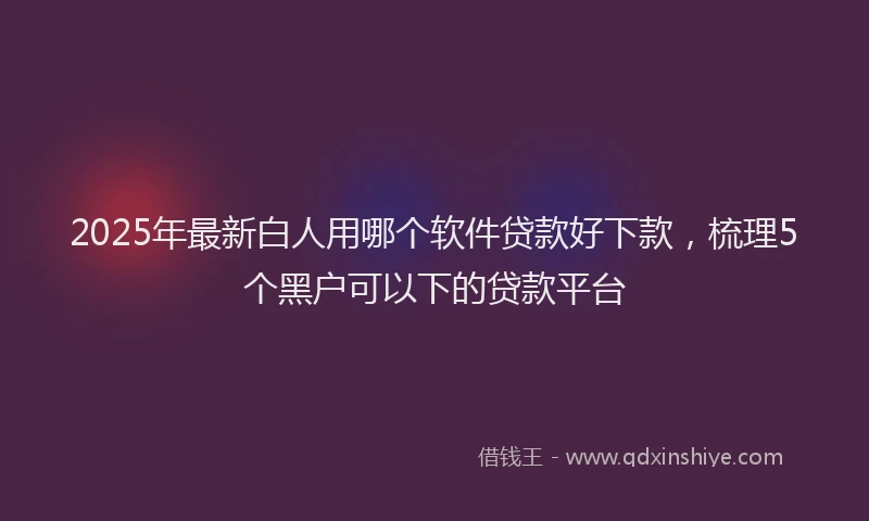 2025年最新白人用哪个软件贷款好下款，梳理5个黑户可以下的贷款平台