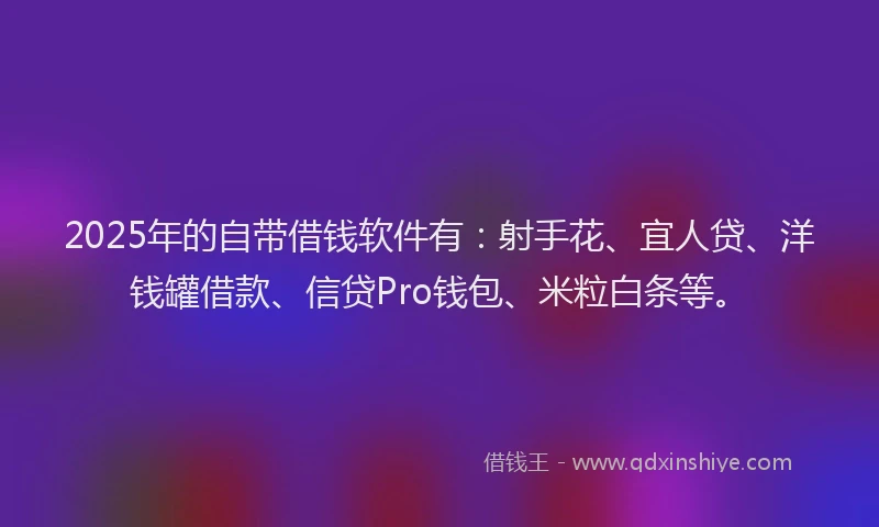 2025年的自带借钱软件有：射手花、宜人贷、洋钱罐借款、信贷Pro钱包、米粒白条等。