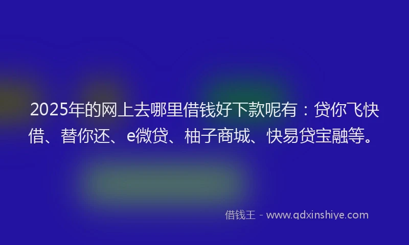 2025年的网上去哪里借钱好下款呢有：贷你飞快借、替你还、e微贷、柚子商城、快易贷宝融等。