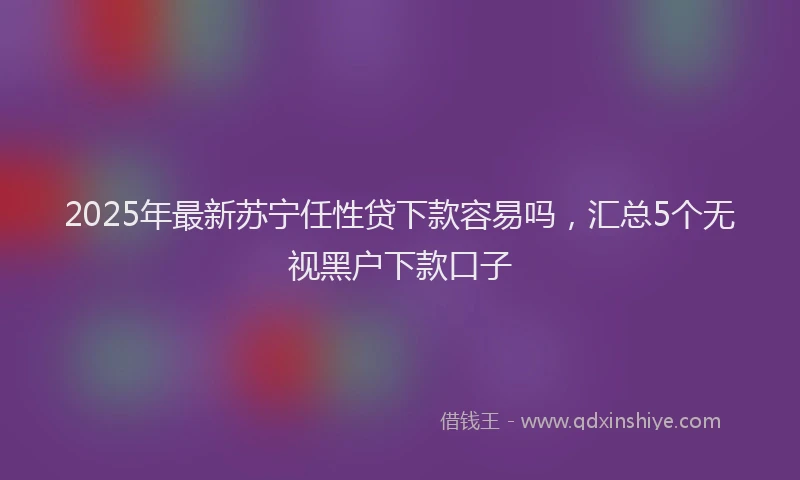 2025年最新苏宁任性贷下款容易吗，汇总5个无视黑户下款口子