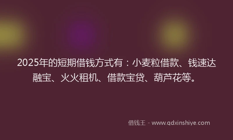 2025年的短期借钱方式有：小麦粒借款、钱速达融宝、火火租机、借款宝贷、葫芦花等。