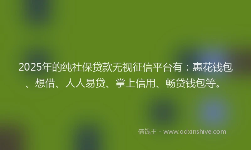 2025年的纯社保贷款无视征信平台有：惠花钱包、想借、人人易贷、掌上信用、畅贷钱包等。