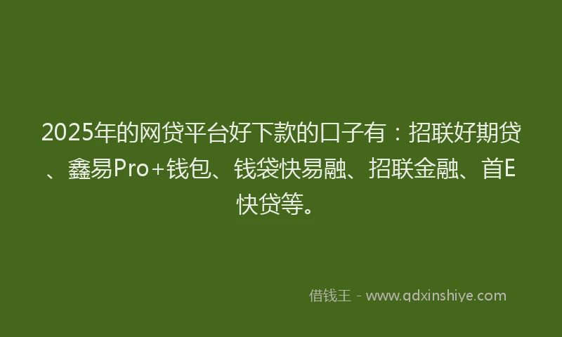 2025年的网贷平台好下款的口子有：招联好期贷、鑫易Pro+钱包、钱袋快易融、招联金融、首E快贷等。