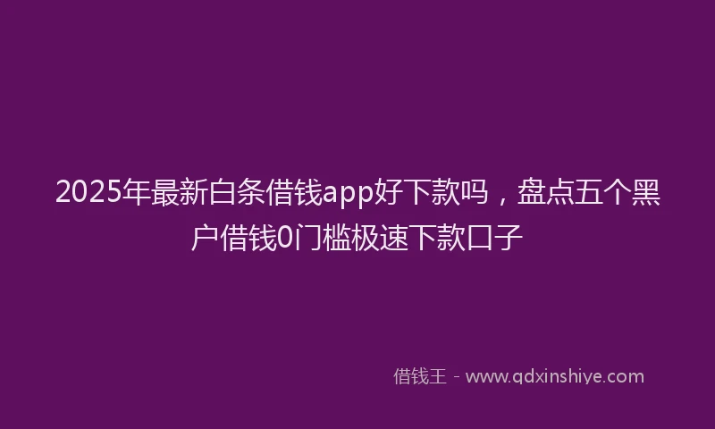 2025年最新白条借钱app好下款吗，盘点五个黑户借钱0门槛极速下款口子