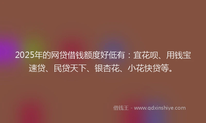 2025年的网贷借钱额度好低有：宜花呗、用钱宝速贷、民贷天下、银杏花、小花快贷等。