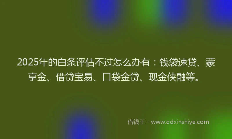 2025年的白条评估不过怎么办有：钱袋速贷、蒙享金、借贷宝易、口袋金贷、现金侠融等。