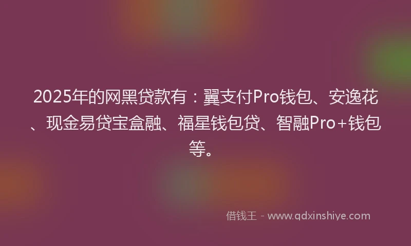 2025年的网黑贷款有：翼支付Pro钱包、安逸花、现金易贷宝盒融、福星钱包贷、智融Pro+钱包等。