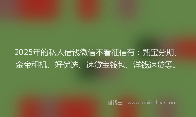 2025年的私人借钱微信不看征信有：甄宝分期、金帝租机、好优选、速贷宝钱包、洋钱速贷等。