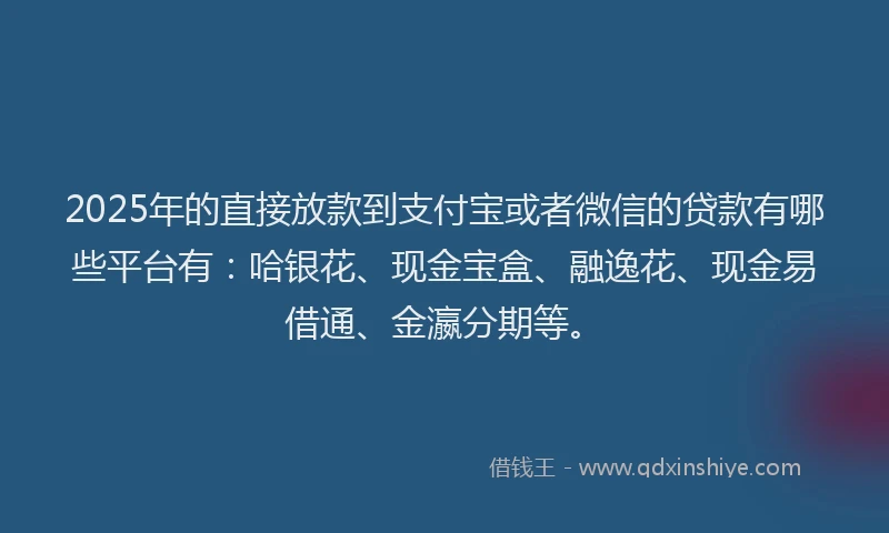 2025年的直接放款到支付宝或者微信的贷款有哪些平台有：哈银花、现金宝盒、融逸花、现金易借通、金瀛分期等。