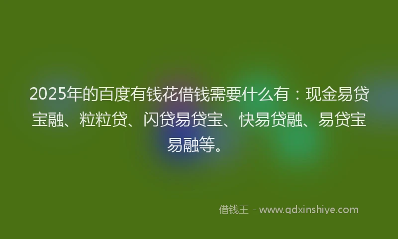 2025年的百度有钱花借钱需要什么有：现金易贷宝融、粒粒贷、闪贷易贷宝、快易贷融、易贷宝易融等。