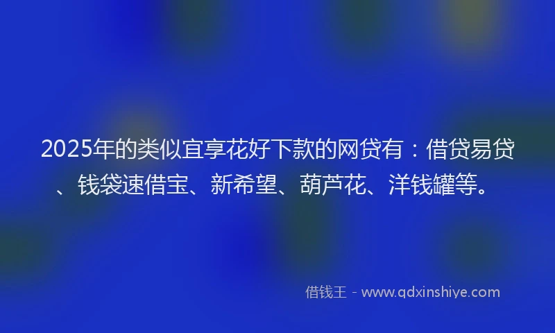 2025年的类似宜享花好下款的网贷有：借贷易贷、钱袋速借宝、新希望、葫芦花、洋钱罐等。