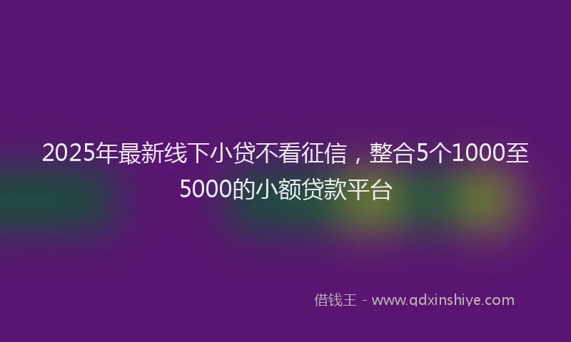 2025年最新线下小贷不看征信，整合5个1000至5000的小额贷款平台