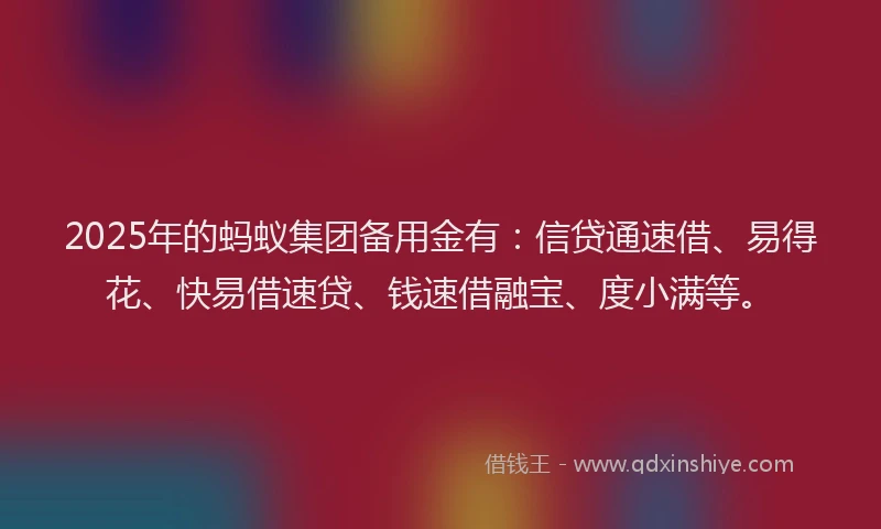 2025年的蚂蚁集团备用金有：信贷通速借、易得花、快易借速贷、钱速借融宝、度小满等。