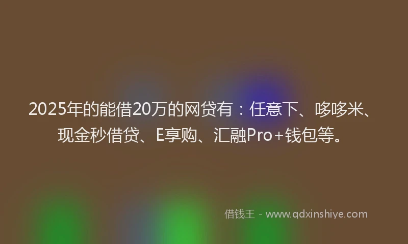 2025年的能借20万的网贷有：任意下、哆哆米、现金秒借贷、E享购、汇融Pro+钱包等。