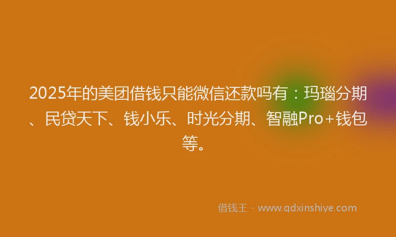 2025年的美团借钱只能微信还款吗有：玛瑙分期、民贷天下、钱小乐、时光分期、智融Pro+钱包等。