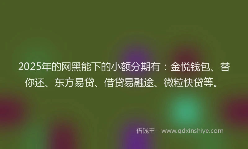 2025年的网黑能下的小额分期有：金悦钱包、替你还、东方易贷、借贷易融途、微粒快贷等。