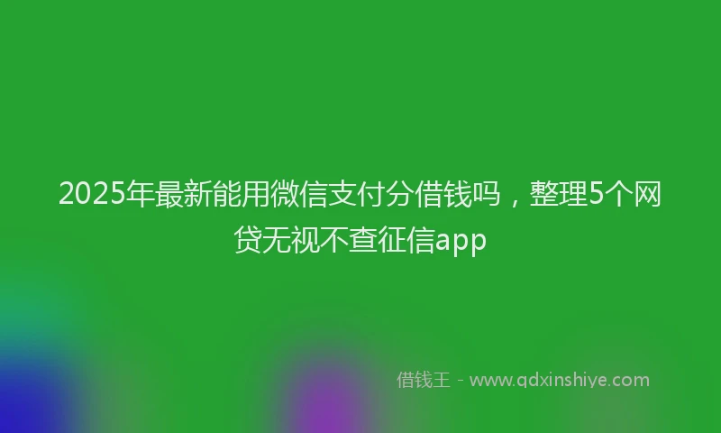 2025年最新能用微信支付分借钱吗，整理5个网贷无视不查征信app