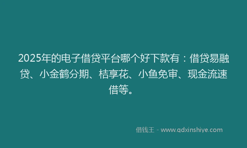 2025年的电子借贷平台哪个好下款有：借贷易融贷、小金鹤分期、桔享花、小鱼免审、现金流速借等。