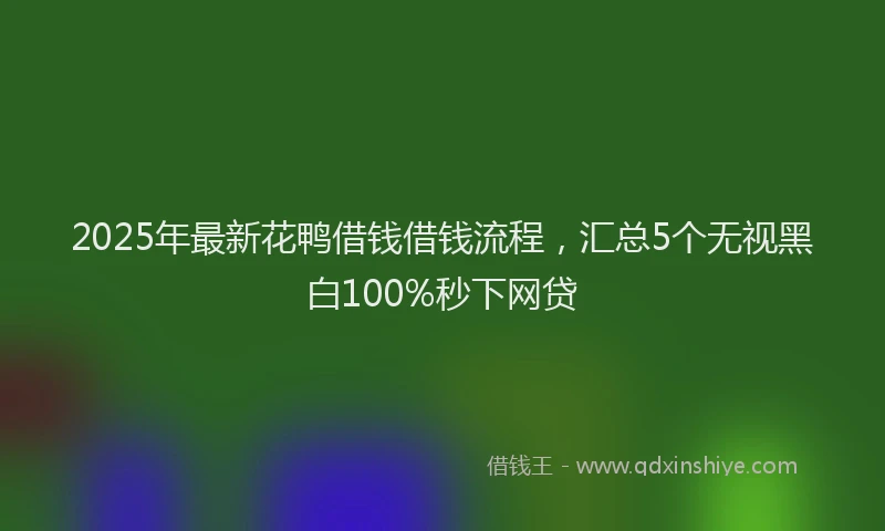 2025年最新花鸭借钱借钱流程，汇总5个无视黑白100%秒下网贷