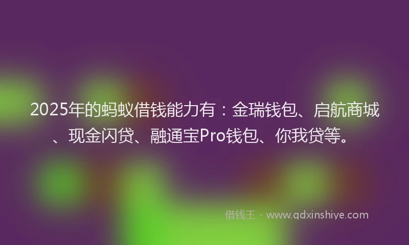 2025年的蚂蚁借钱能力有：金瑞钱包、启航商城、现金闪贷、融通宝Pro钱包、你我贷等。