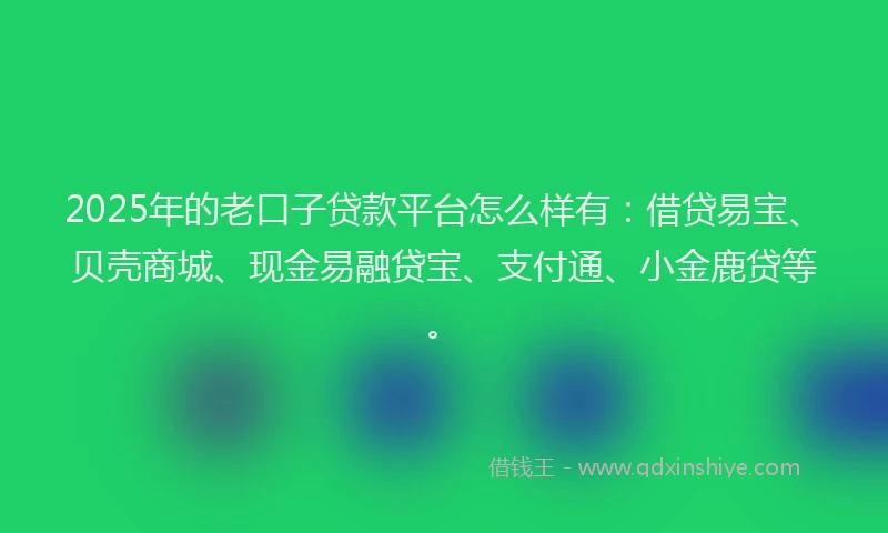 2025年的老口子贷款平台怎么样有：借贷易宝、贝壳商城、现金易融贷宝、支付通、小金鹿贷等。