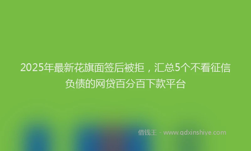 2025年最新花旗面签后被拒，汇总5个不看征信负债的网贷百分百下款平台