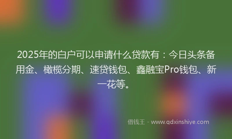 2025年的白户可以申请什么贷款有：今日头条备用金、橄榄分期、速贷钱包、鑫融宝Pro钱包、新一花等。
