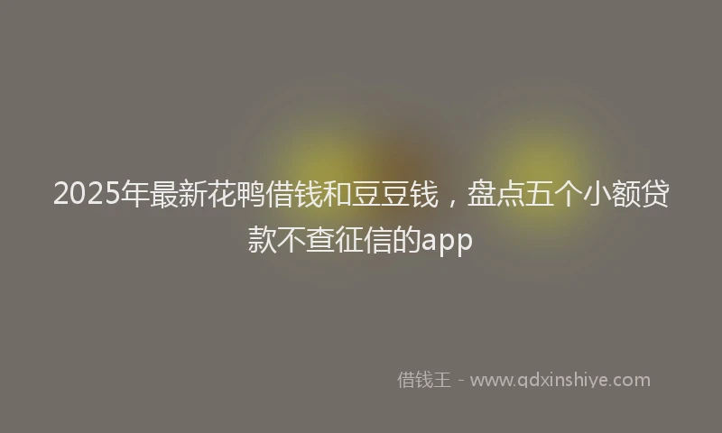 2025年最新花鸭借钱和豆豆钱，盘点五个小额贷款不查征信的app