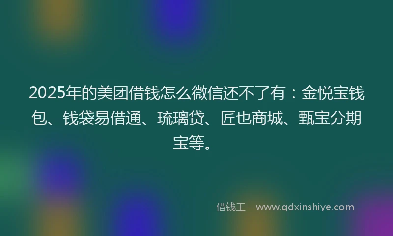 2025年的美团借钱怎么微信还不了有：金悦宝钱包、钱袋易借通、琉璃贷、匠也商城、甄宝分期宝等。
