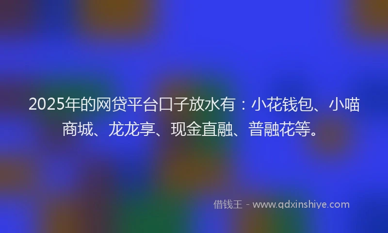 2025年的网贷平台口子放水有：小花钱包、小喵商城、龙龙享、现金直融、普融花等。