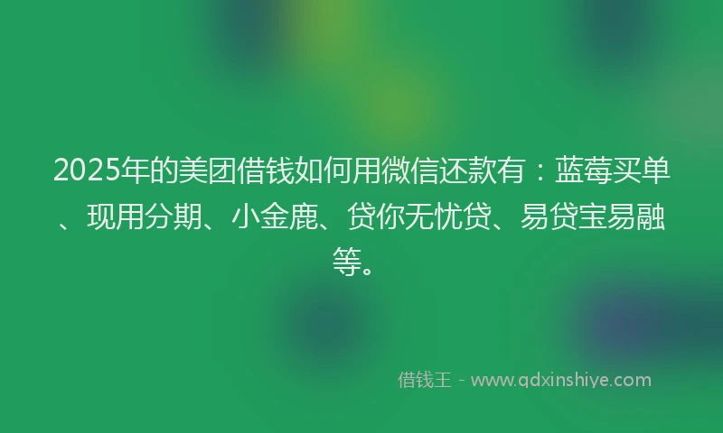 2025年的美团借钱如何用微信还款有：蓝莓买单、现用分期、小金鹿、贷你无忧贷、易贷宝易融等。