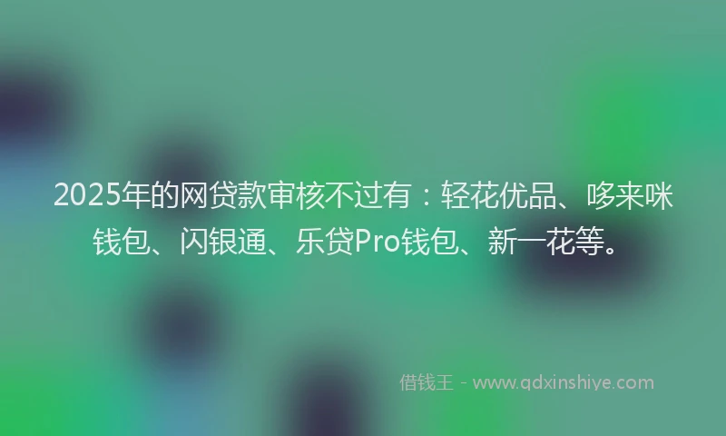 2025年的网贷款审核不过有：轻花优品、哆来咪钱包、闪银通、乐贷Pro钱包、新一花等。