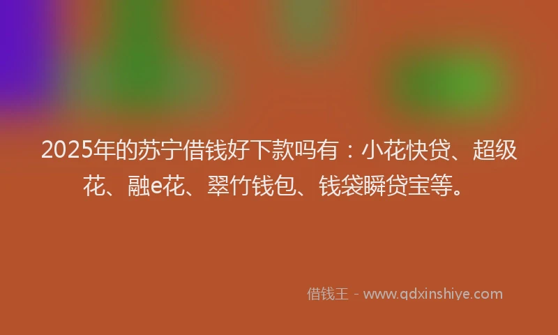 2025年的苏宁借钱好下款吗有：小花快贷、超级花、融e花、翠竹钱包、钱袋瞬贷宝等。
