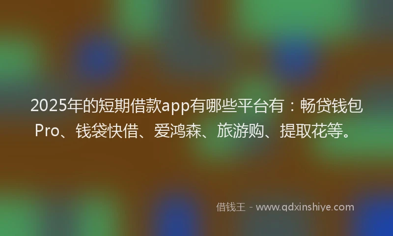 2025年的短期借款app有哪些平台有：畅贷钱包Pro、钱袋快借、爱鸿森、旅游购、提取花等。