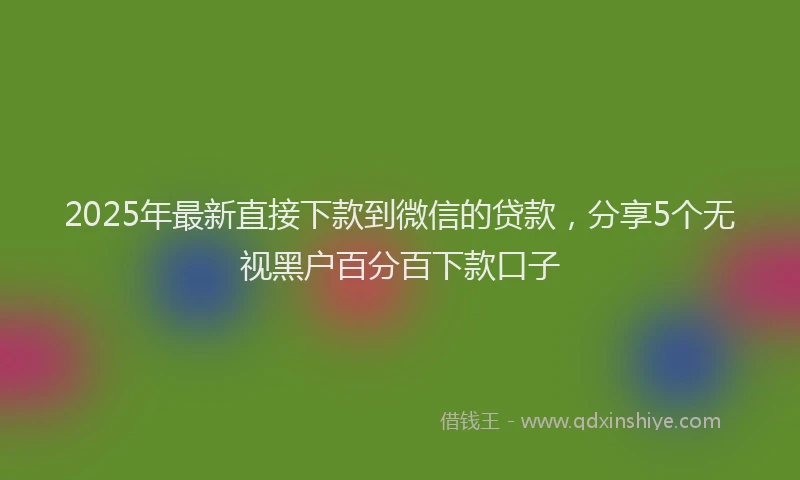2025年最新直接下款到微信的贷款，分享5个无视黑户百分百下款口子